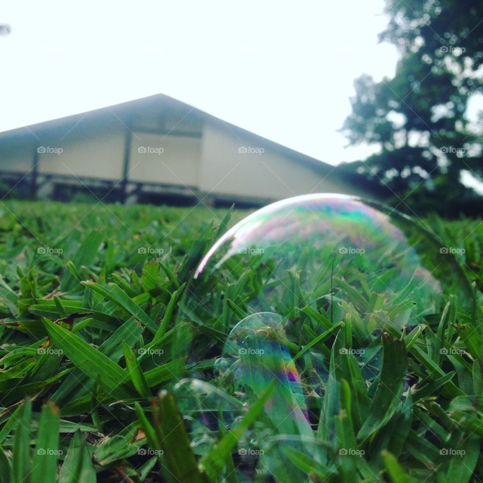 Awesome close up of an unpopped bubble
