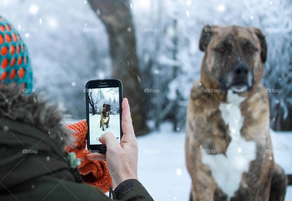 A man takes a photo of his canine companion in the winter