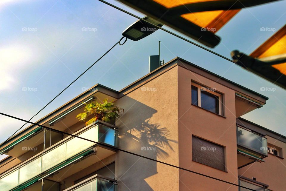 A palm tree stands on the balcony of an orange house on a hot evening in the city