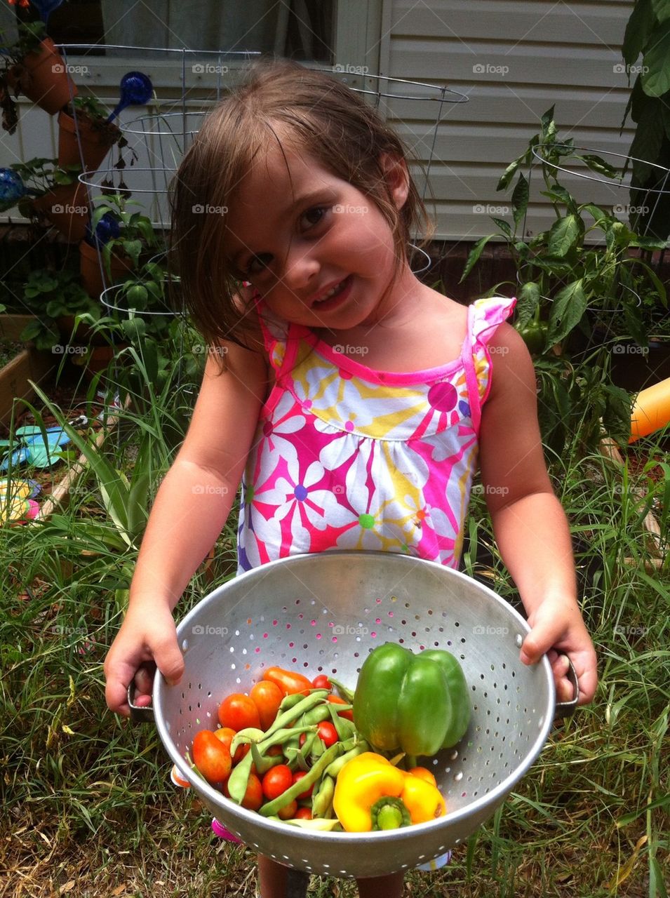 Garden vegetables