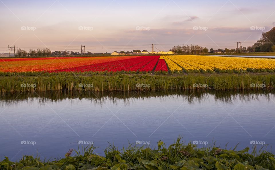 agriculture