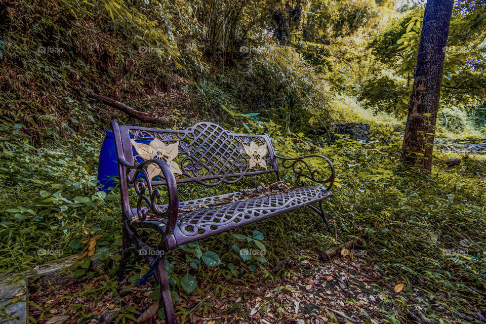 natural lanscape at the garden
