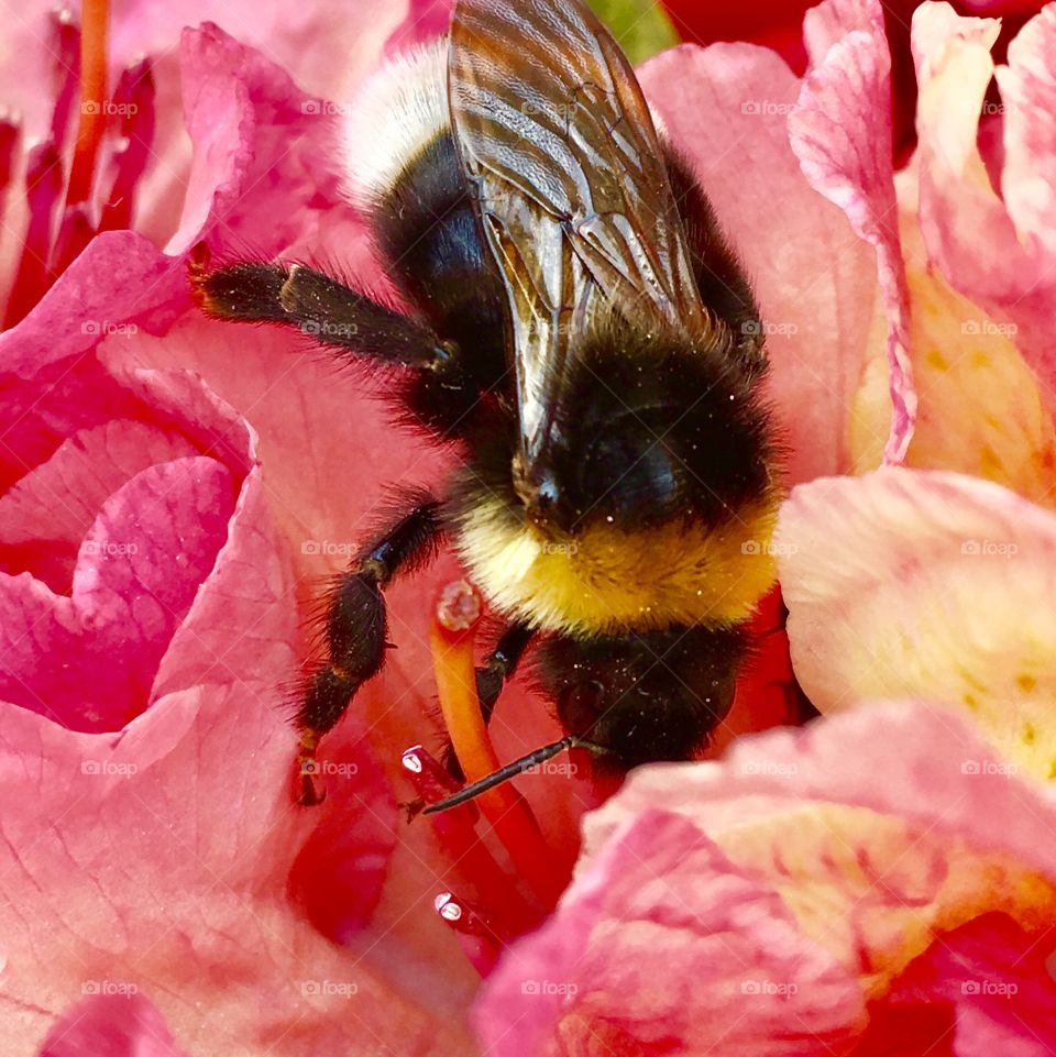 Captured with iPhone 6s Plus 