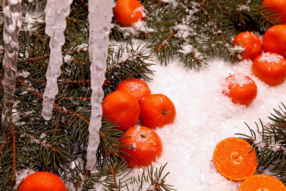 Tangerines in the snow. Winter still life.