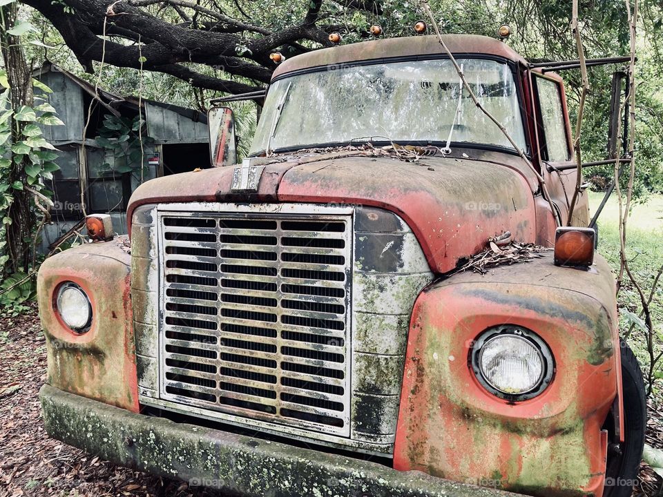 Abandoned truck 