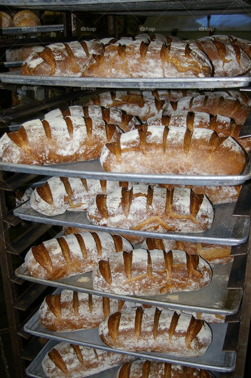 loaves on a bakery rack