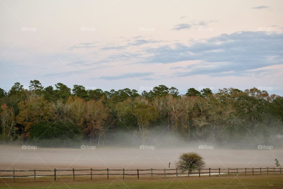 Evening Fog
