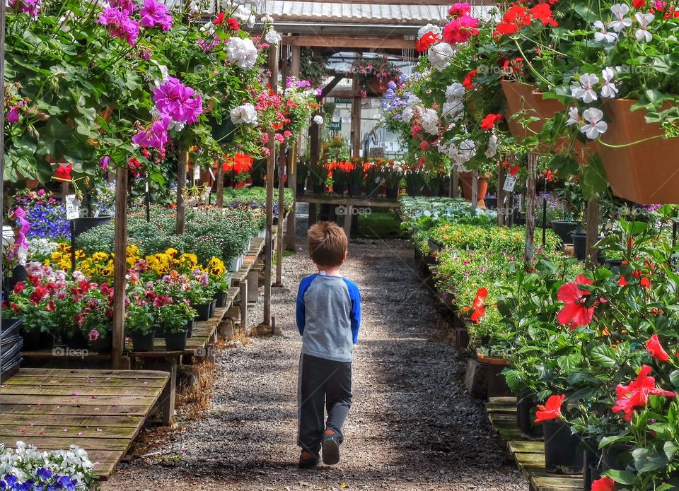 Young Boy Surrounded By Blooming Flowers