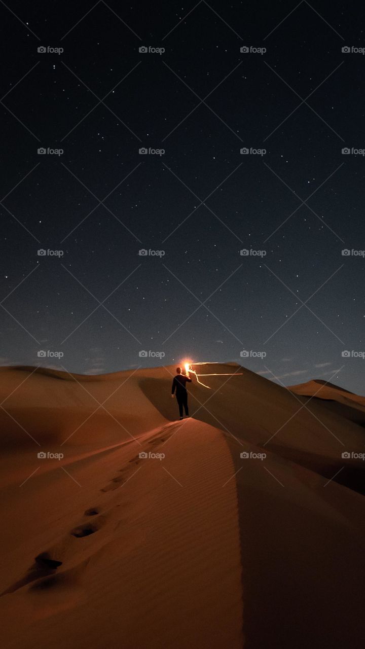 the night desert