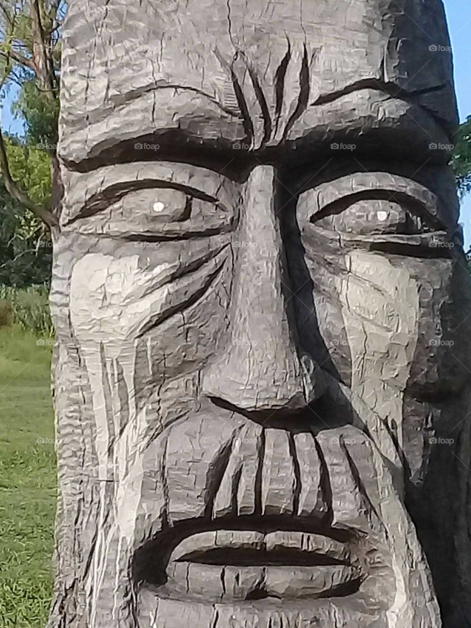 rostro ancestral tallado en el tronco seco de un árbol añoso y emplazado en un parque de recreación.