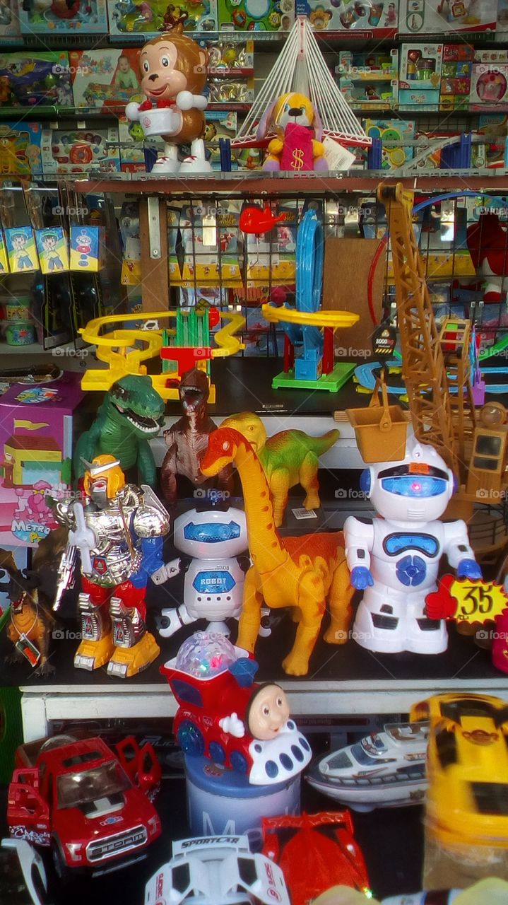Toy in market