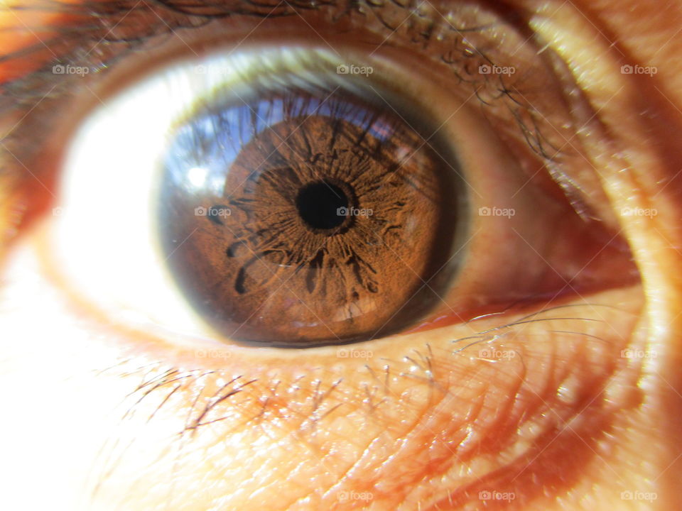 Extreme close-up of brown eyes