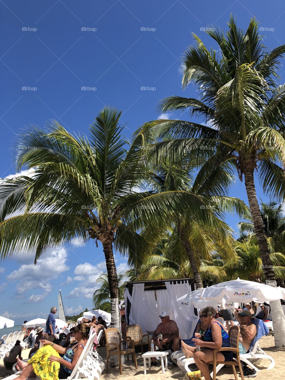 Palm trees swaying in the wind 