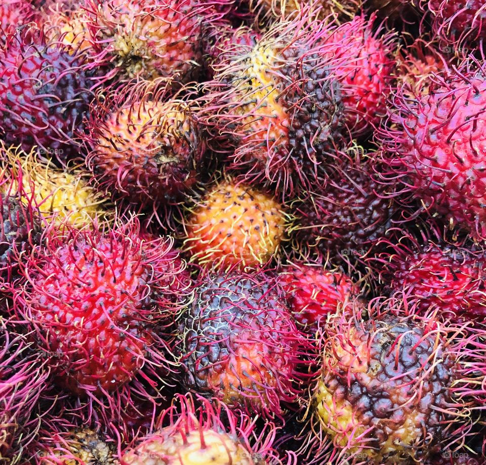 Rambutan fruit