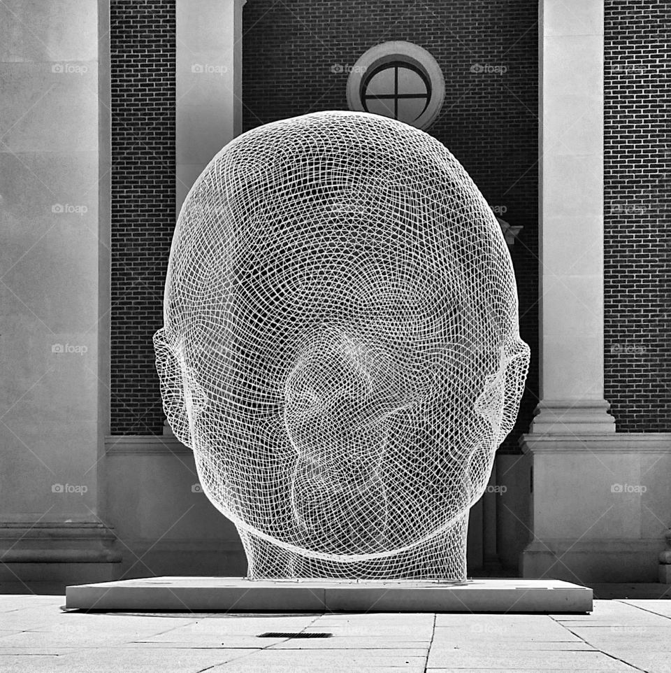 The Meadows Museum of Art on the campus of SMU in Dallas Texas USA this is the outside entrance the giant mesh head of a woman called "Sho" created by Jaume Plensa, a local treasure