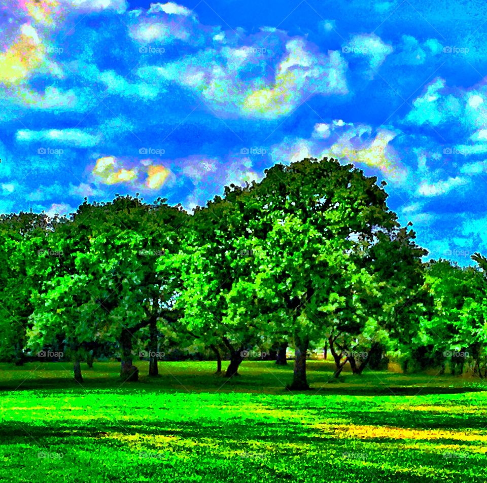 A few filters turn this simple picture of a green pasture and oak trees with blue skies  into an interesting piece of art. 