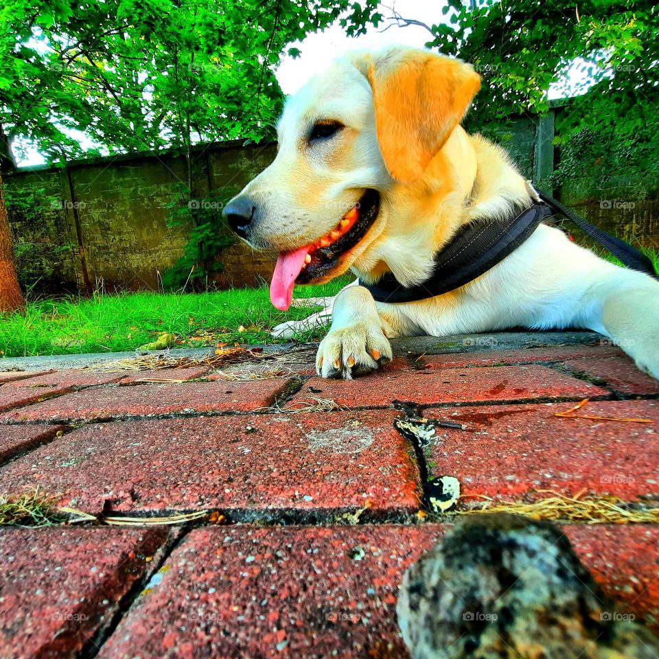 my favorite picture of the day