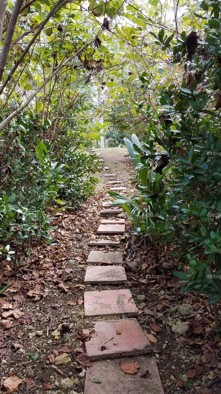 a brick path leads the way back from the costal beach