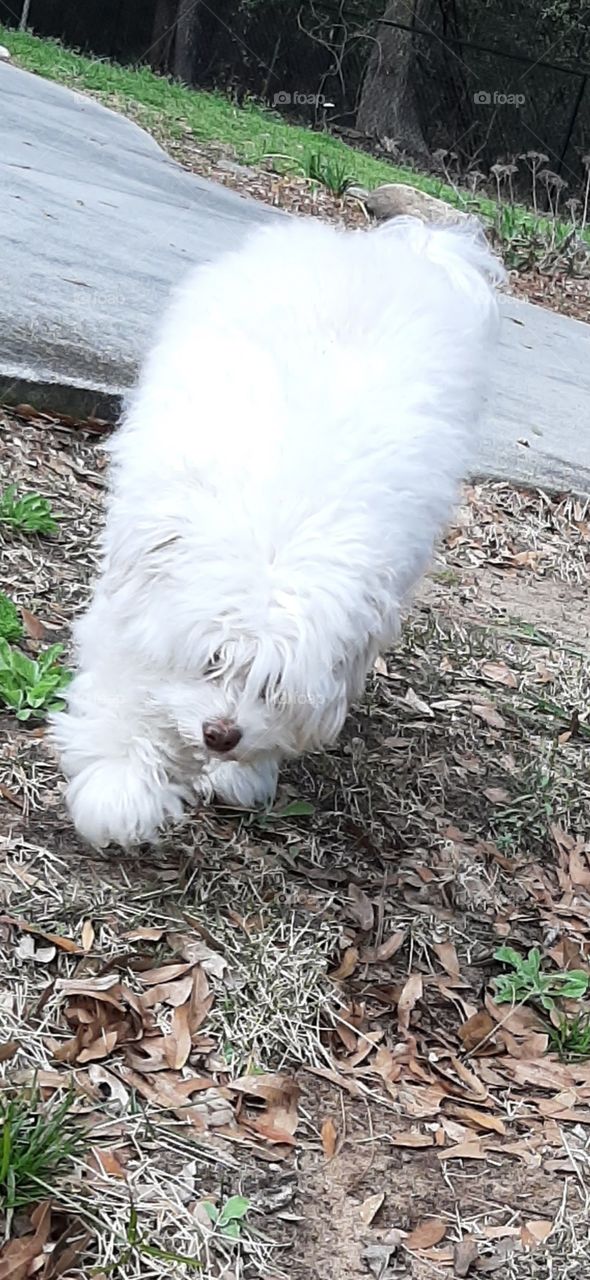 she hates her picture taken🤣