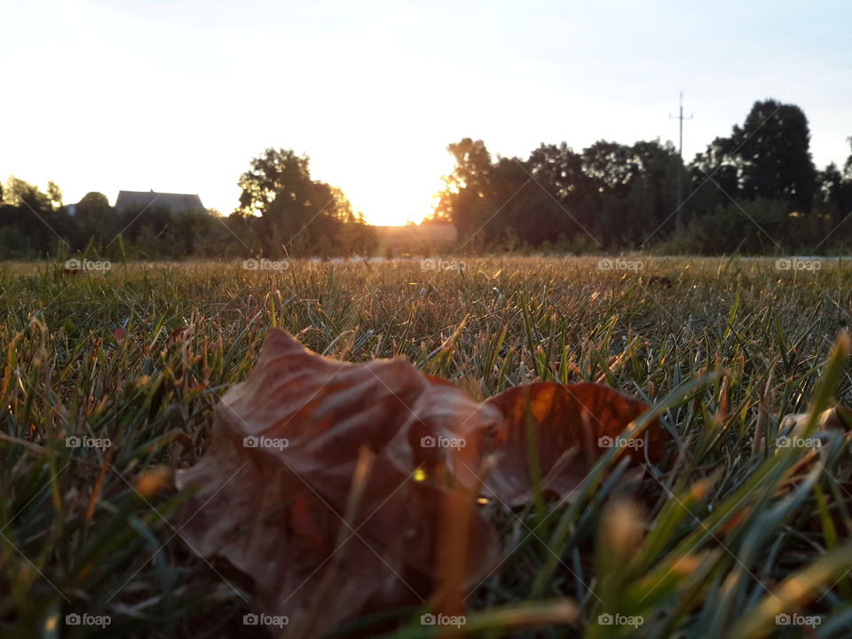 Autumn sunrise in Poland