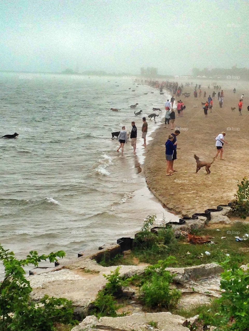 Foggy morning at the beach