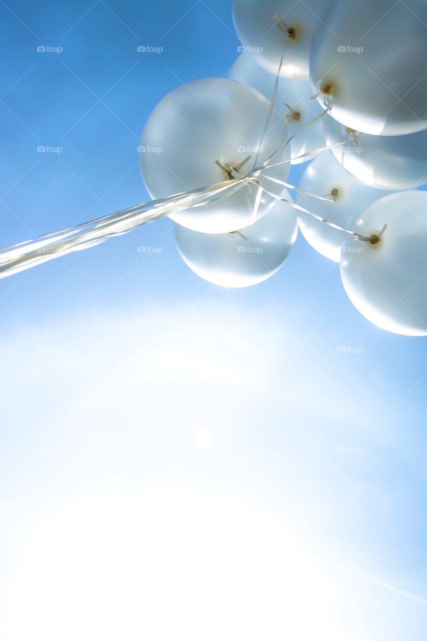 White balloons