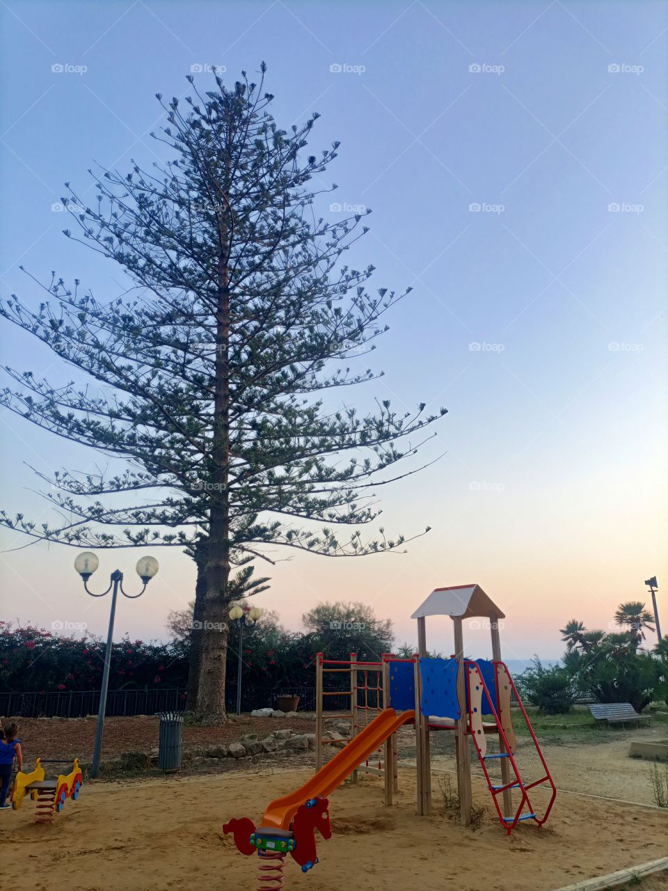 parco giochi e albero