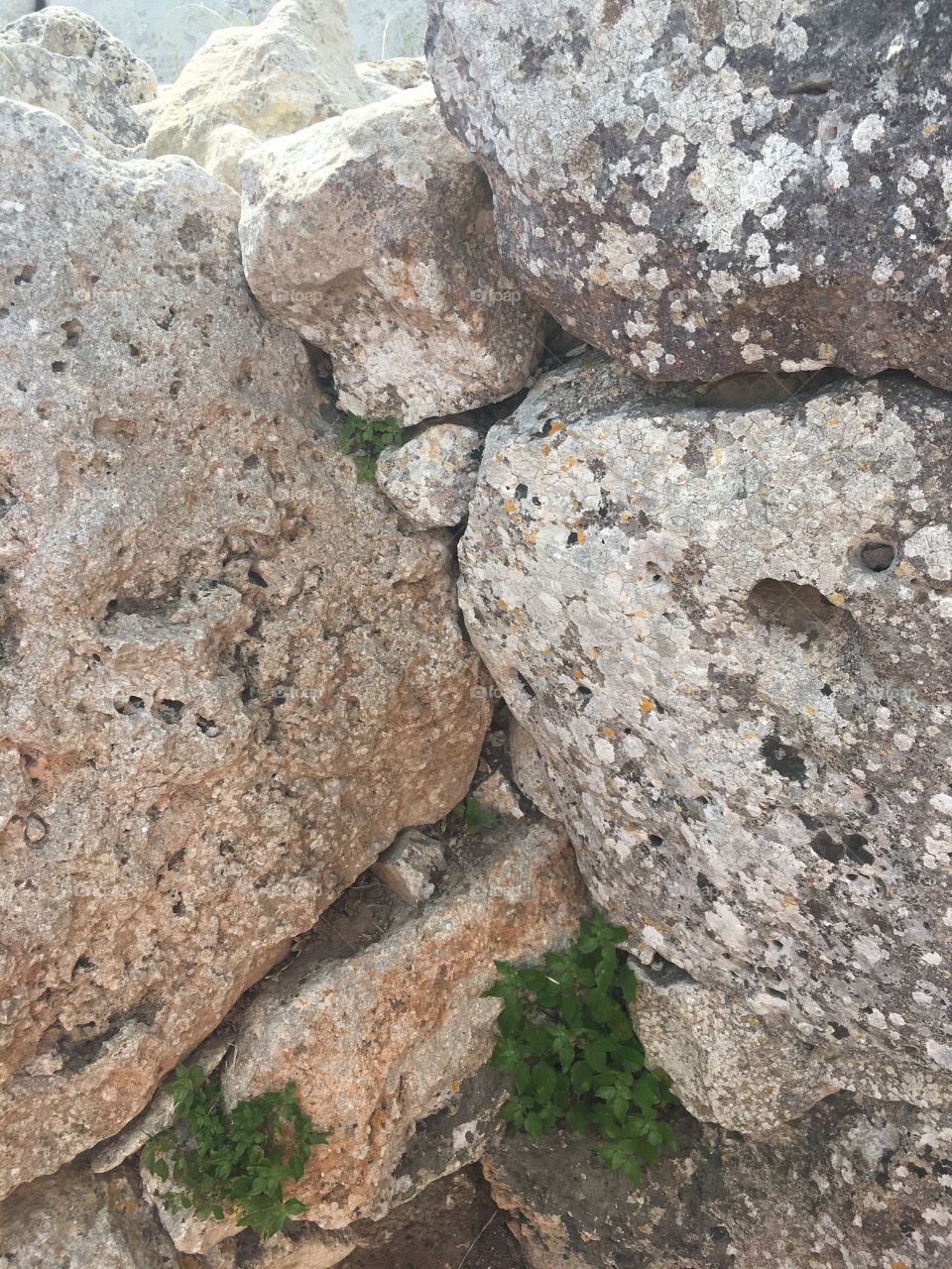 Rocks