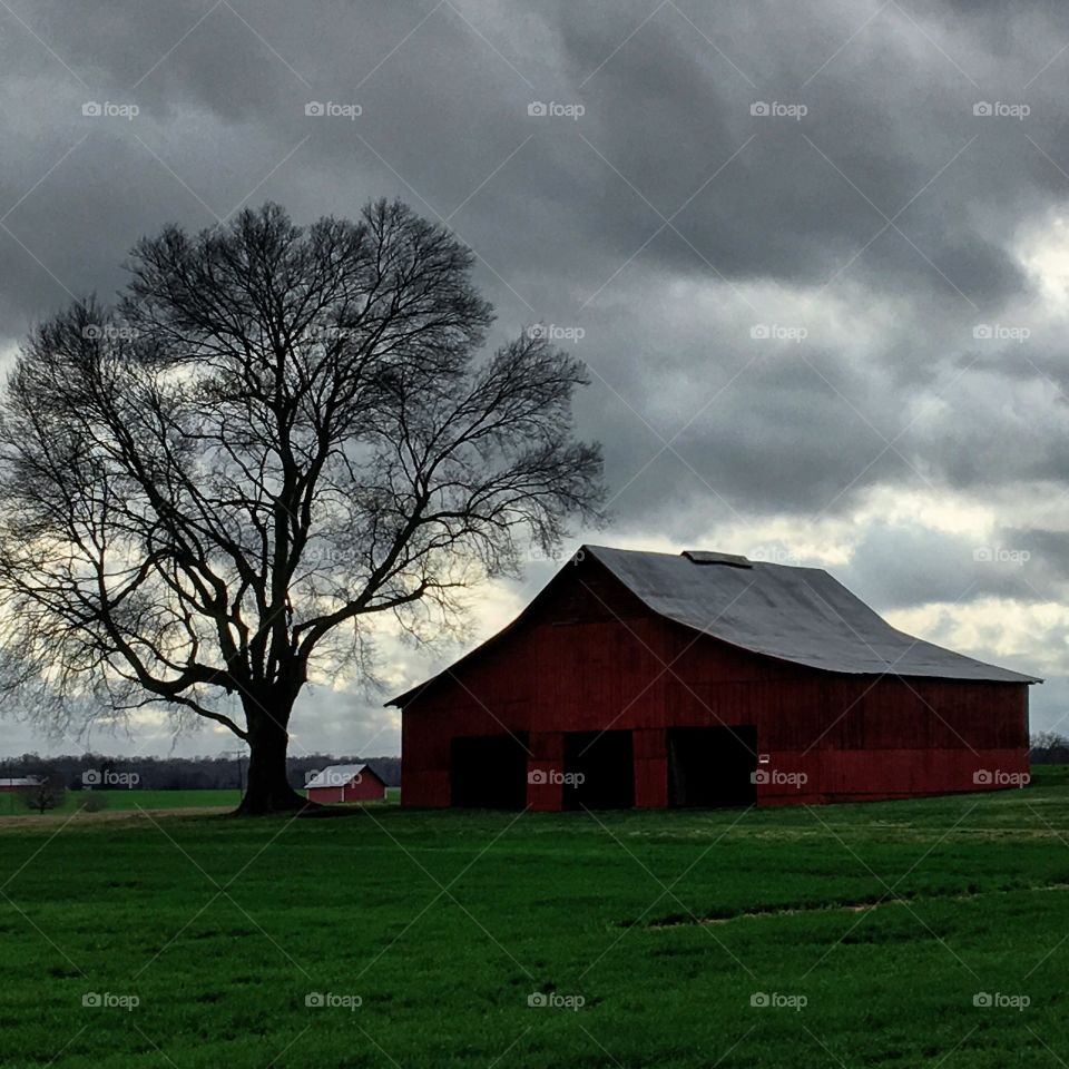 Barnscape. Springfield, TN