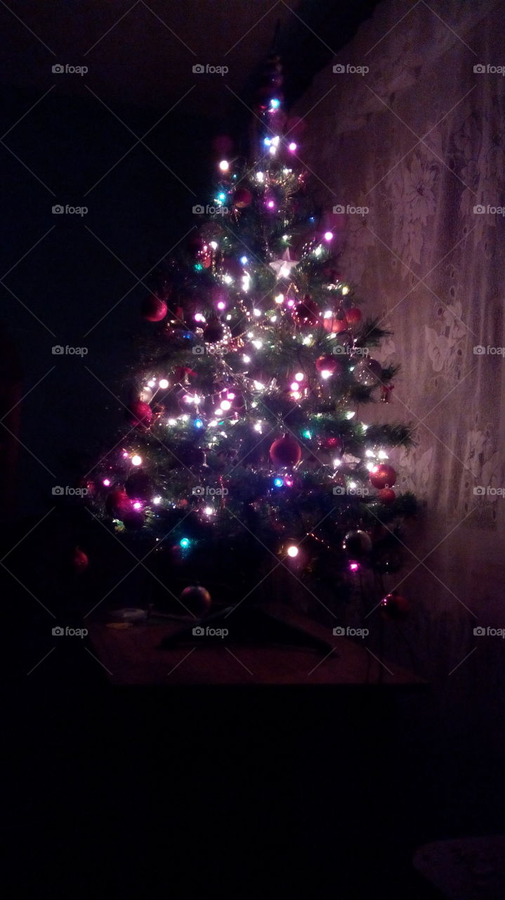 christmas tree