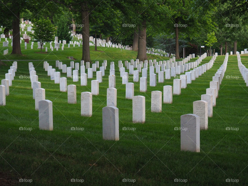Washington Memorial Cemetery soldier deceased 