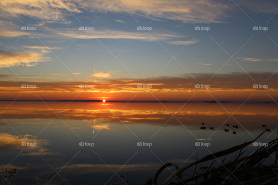 a dawn in venice