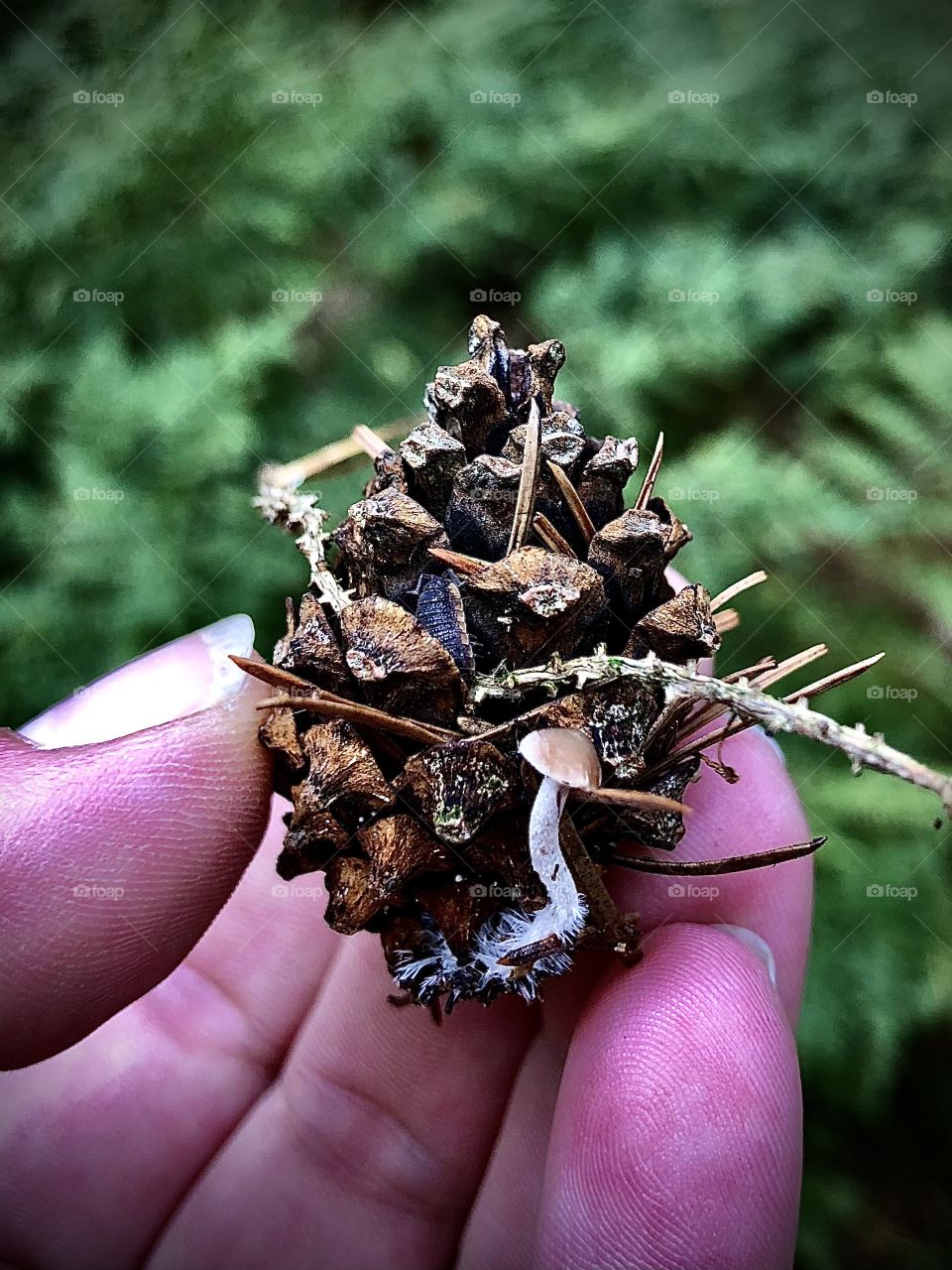 A little bit of everything