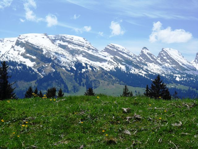 Toggenburg