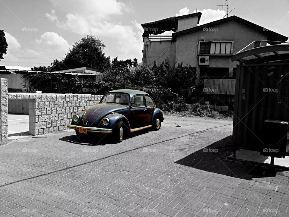 Old bug
