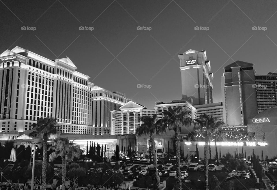 Vegas in Lights
