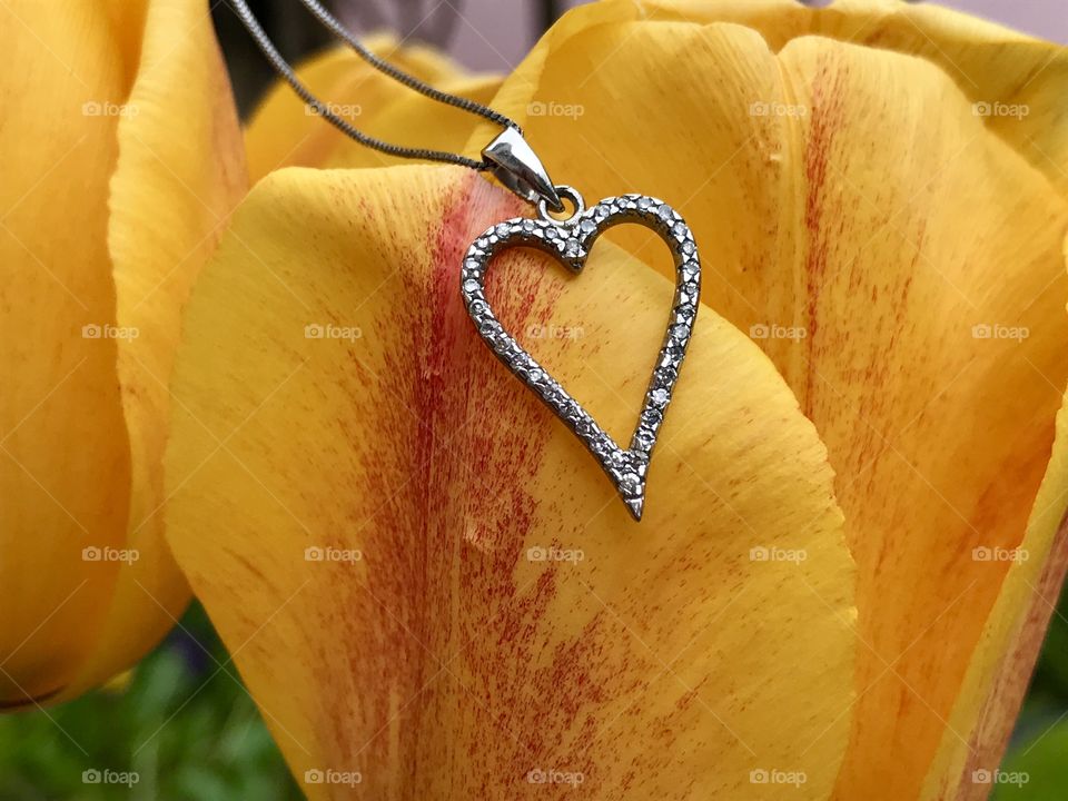 Silver necklace in the shape of a heart with shiny zircons on a yellow tulip flower.
