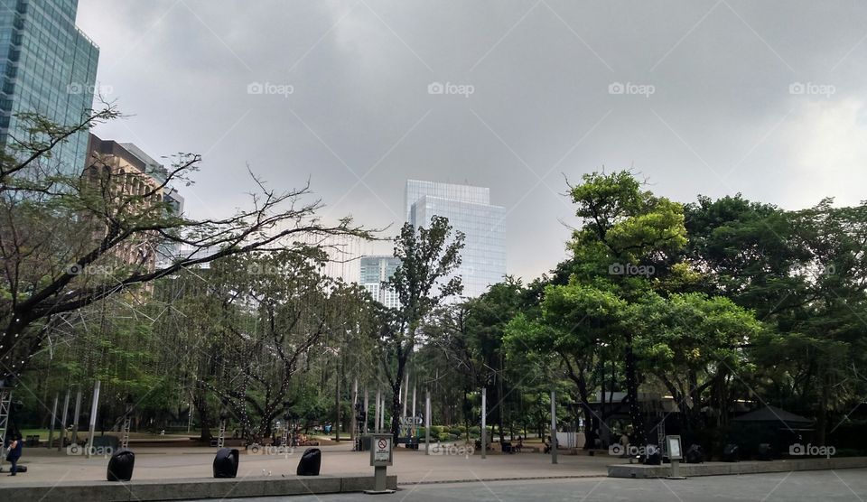 makati stock exchange garden. grey skyline at mse garden