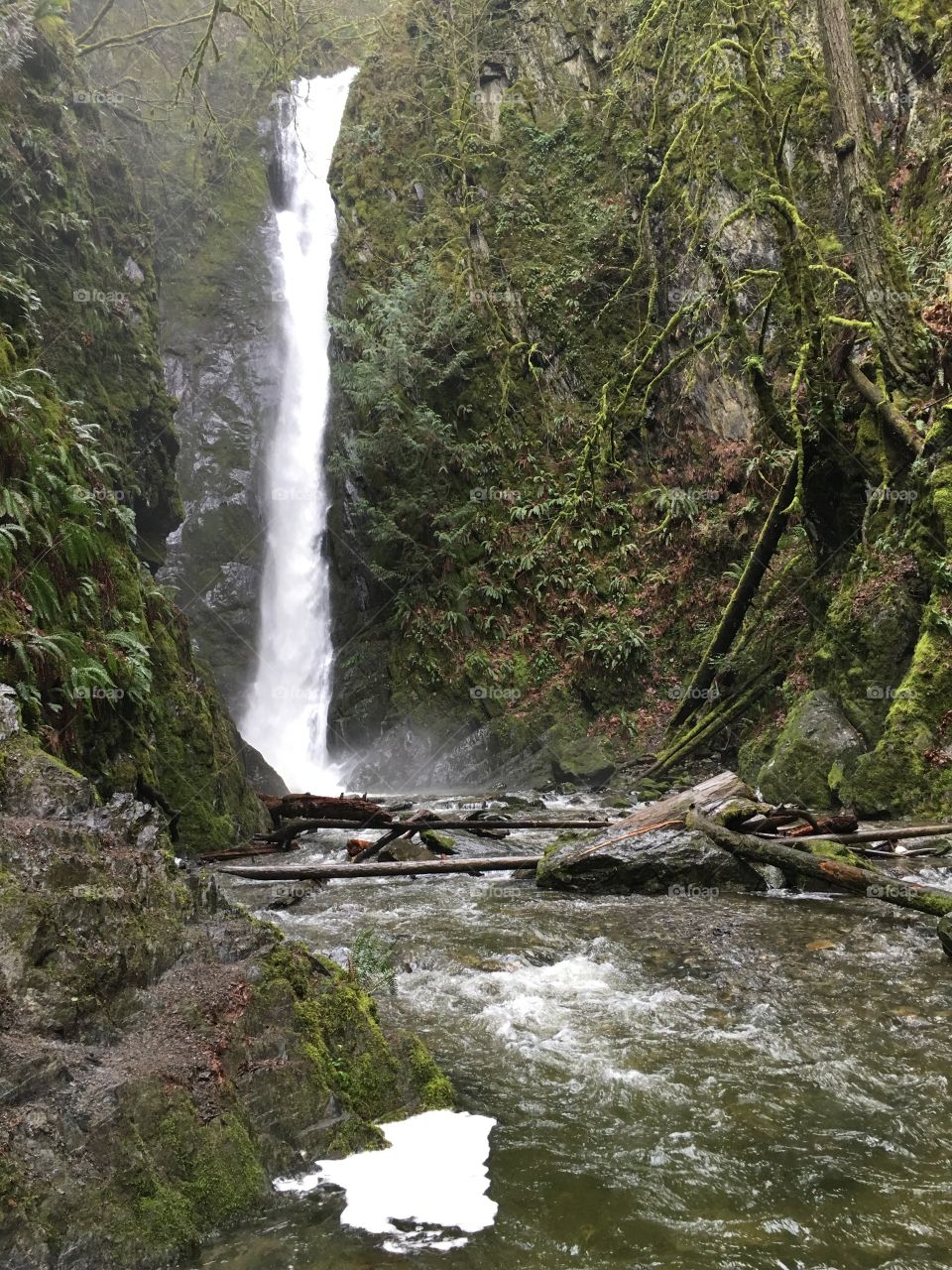 View of waterfall in forest