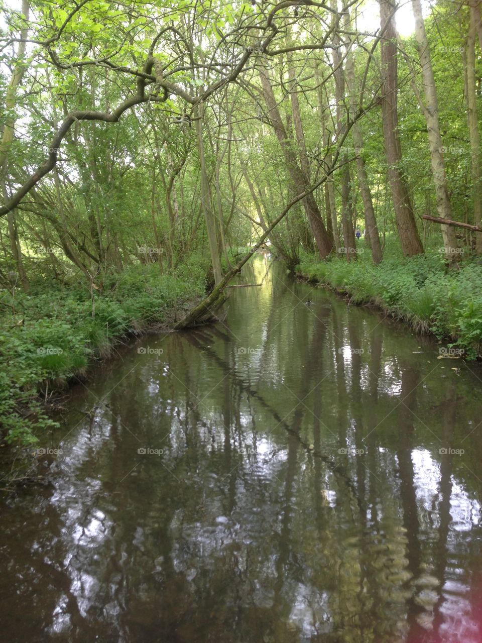 Looking down river