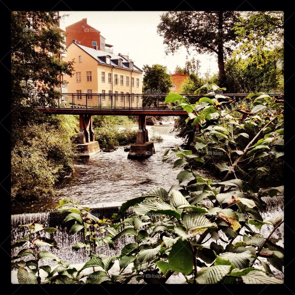 Bridge in Town