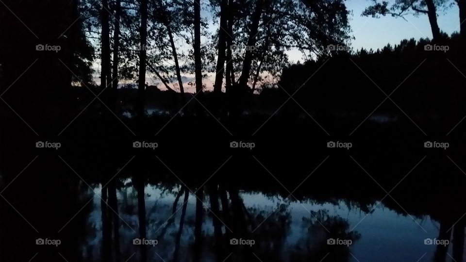 Tree, Landscape, Reflection, No Person, Water