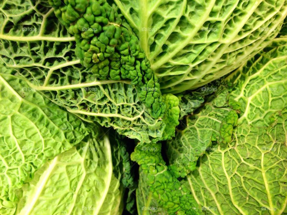 Extreme close up of savoy cabbage