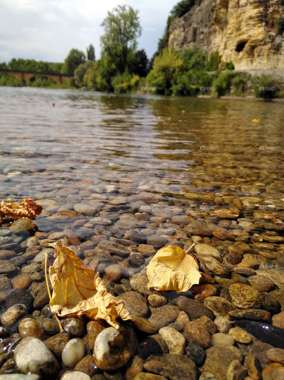 first signs of autumn