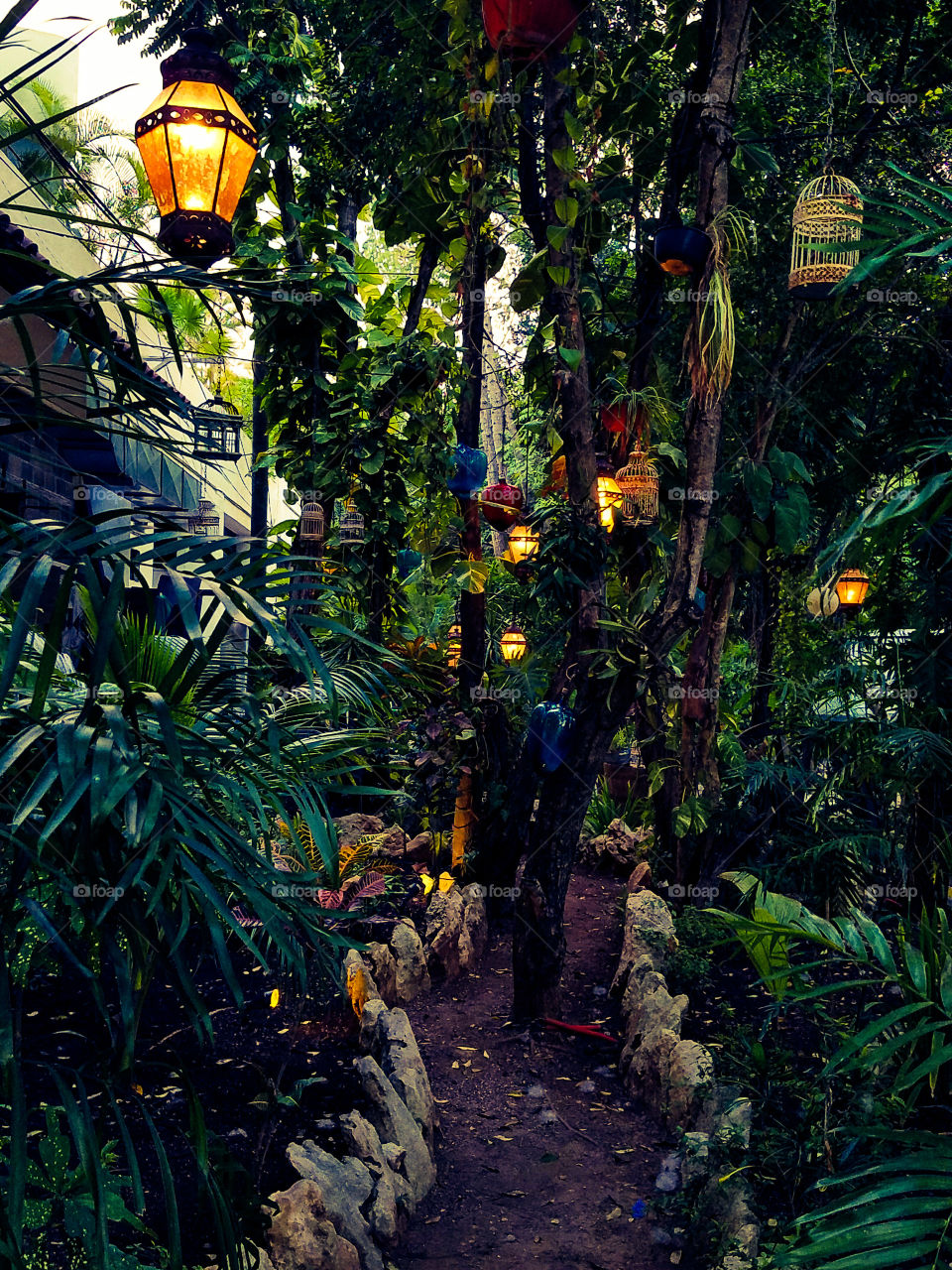 Hanging lantern lights at dusk