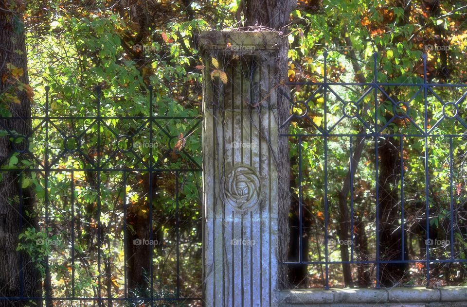 Ornate Vintage Fence 