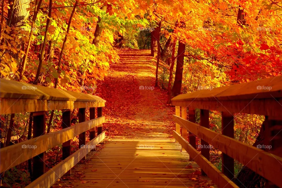 Autumn 