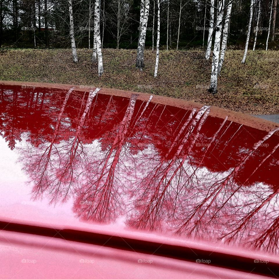 reflections in the car roof