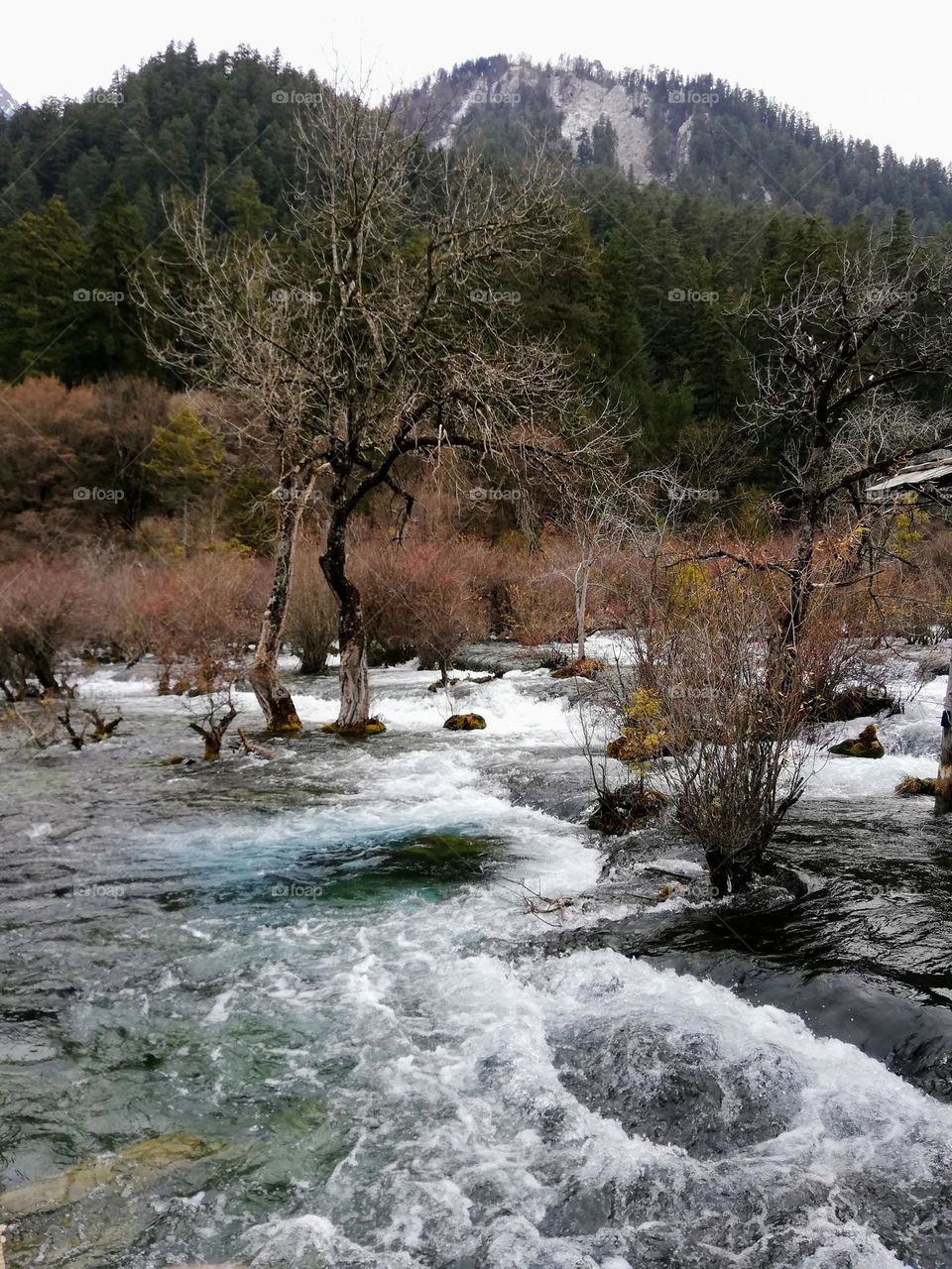 Creek view in the winter