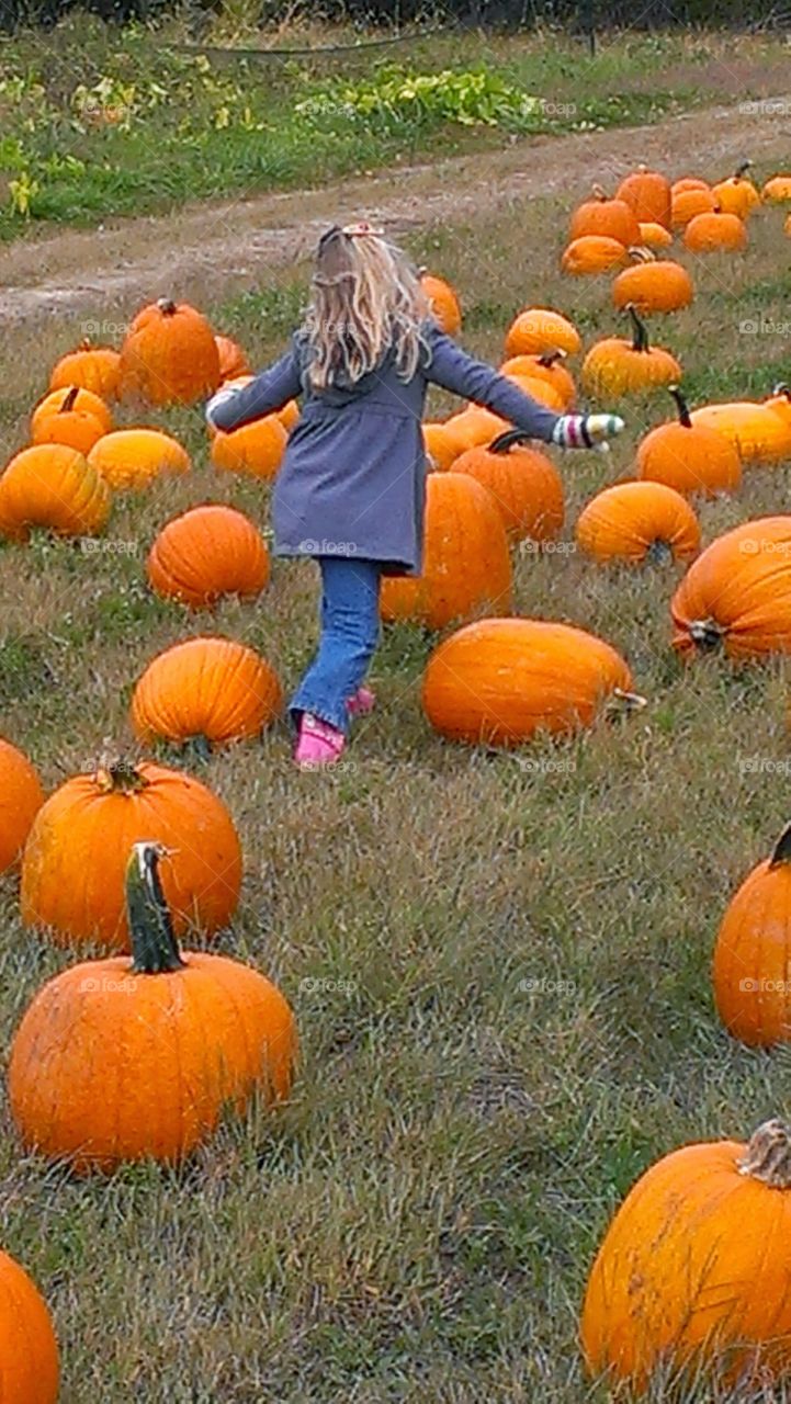 In The Pumpkin Patch